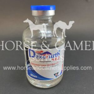 Dexaruzth dexamethasone dexa pain killer releiver sodium phosphate horse camel corticoid dexacortyl 600x450 1