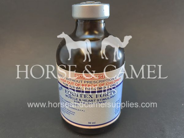 Equitex forte stimulant power energy Endurance resistance race horse camel milkshake aspartate potassium 600x450 1