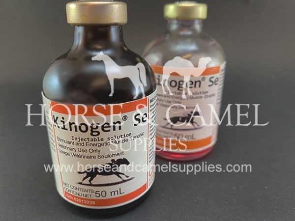 Kinogen stimulant power energy race horse camel endurance vitamins carnitine magnesium fatigue kingen SE 600x450 2