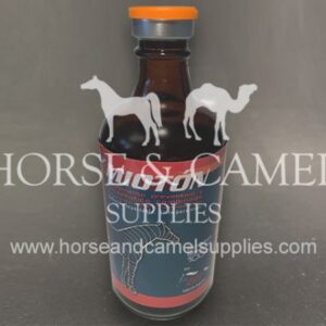 Mioton Sport horse tonic stimulant power energy race horse camel endurance sporthorse aminoacids milkshake reduce tired 600x450 1