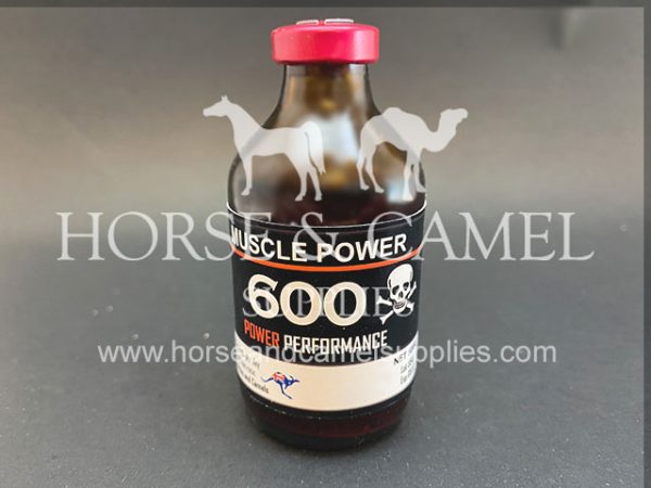 Muscle Power 600 stimulant power energy race horse camel vitamins endurance 600x450 1