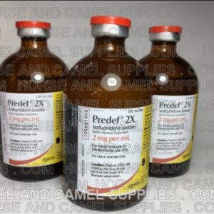 Predef2x Zoetis isoflupredone acetate anti inflammatory pain reliever killer race horse camel 001 600x450 2