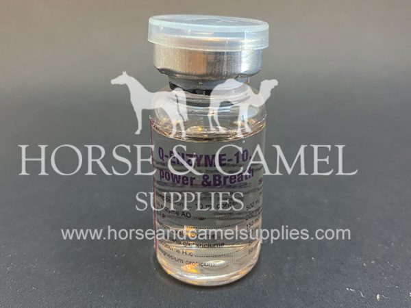 Q enzyme coenzyme Oxy breath oxygen respiratory lungs race horse camel breathing atp 600x450 1