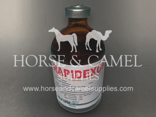 Rapidexon dexamethasone anti inflammatory pain reliever killer race horse camel dexa analgesic medicine 600x450 1