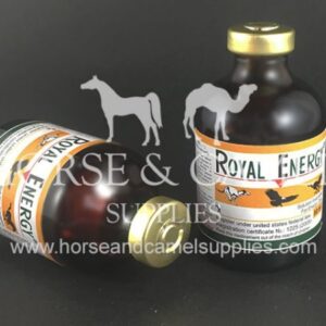 Royal Energy stimulant energy power endurance race horse camel vitamins rpm 600x450 1