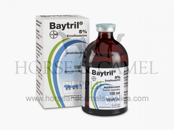 baytril 600x450 4