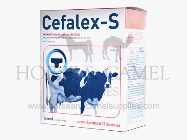 cefalex 600x450 1