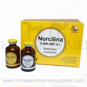norcilina 600x450 2