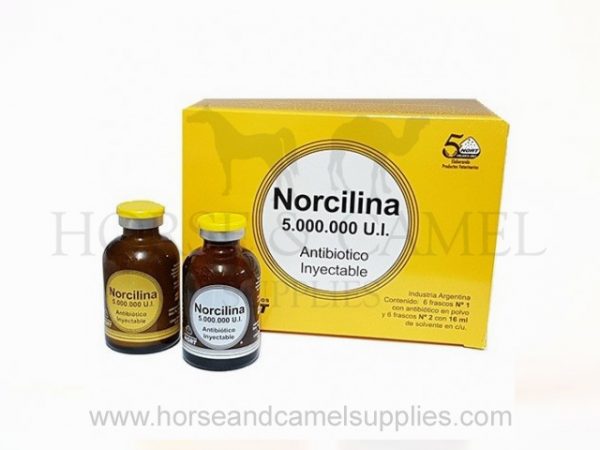 norcilina 600x450 2
