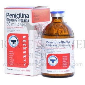 penicilina 600x450 1